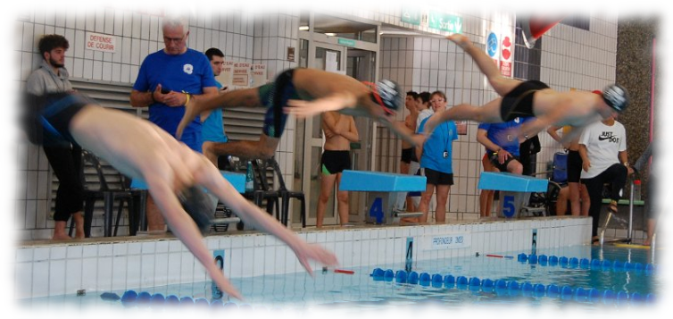 Natation_Sportive